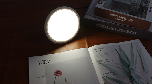 Light Therapy and SAD: How to Choose the Right Light Therapy Lamp