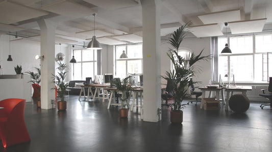 The Relationship Between Workplace Lighting and SAD: How to Improve Office Environments